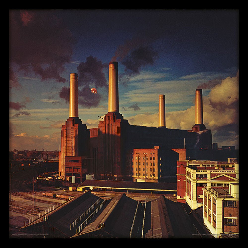 PINK FLOYD ピンクフロイド (結成 60周年 ) - Animals / インテリア額 - PGS
